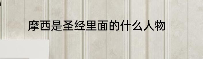 摩西是圣经里面的什么人物
