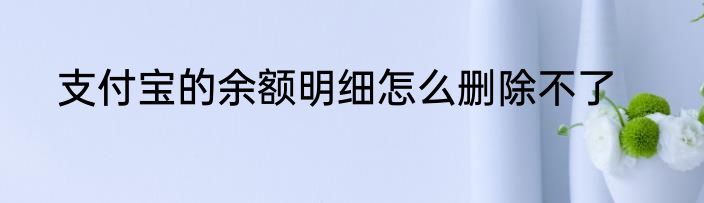 支付宝的余额明细怎么删除不了