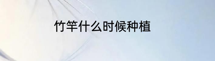 竹竿什么时候种植