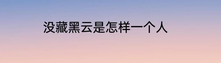 没藏黑云是怎样一个人