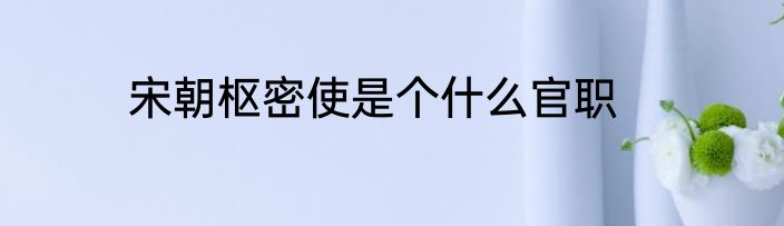 宋朝枢密使是个什么官职