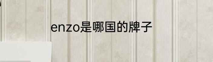 enzo是哪国的牌子