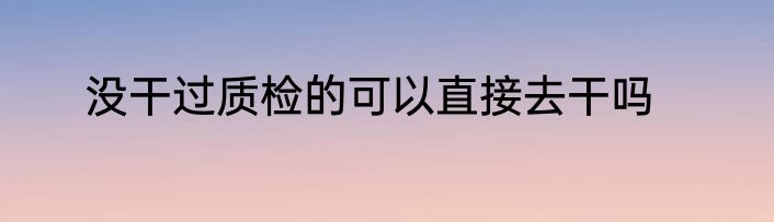 没干过质检的可以直接去干吗