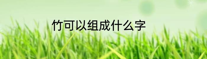 竹可以组成什么字