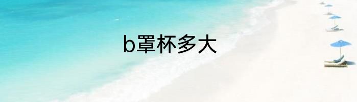 b罩杯多大