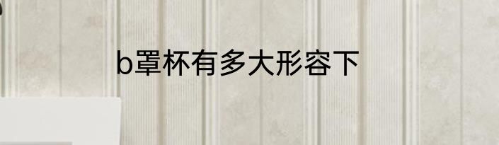 b罩杯有多大形容下