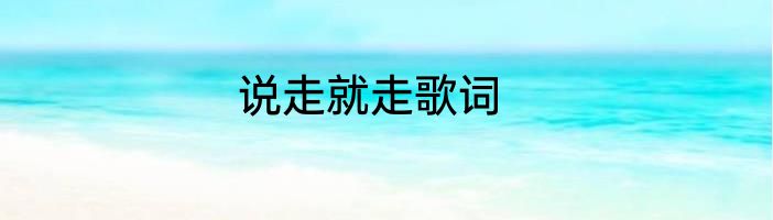 说走就走歌词