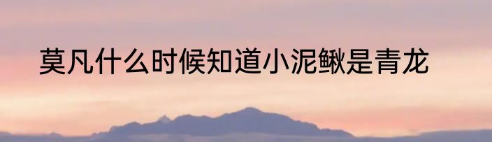 莫凡什么时候知道小泥鳅是青龙