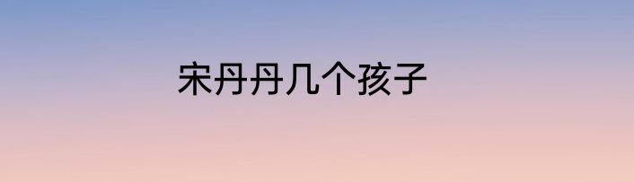 宋丹丹几个孩子