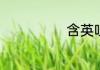 含英咀华的含义