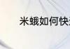 米蛾如何快速消灭妙招有哪些
