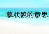 摹状貌的意思摹状貌的意思是什么