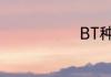 BT种子是什么