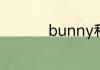 bunny和rabbit的区别