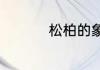 松柏的象征意义是什么