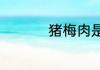 猪梅肉是什么部位的肉