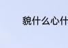 貌什么心什么的词语有哪些