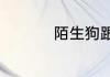 陌生狗跟着你预兆什么
