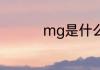 mg是什么重的单位名称