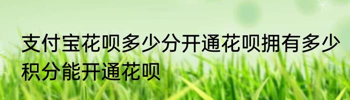 支付宝花呗多少分开通花呗拥有多少积分能开通花呗
