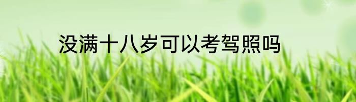 没满十八岁可以考驾照吗