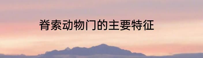 脊索动物门的主要特征