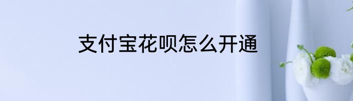支付宝花呗怎么开通