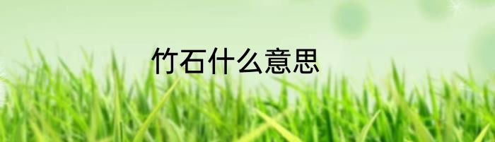 竹石什么意思
