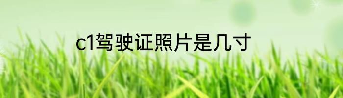 c1驾驶证照片是几寸
