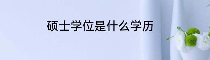 硕士学位是什么学历