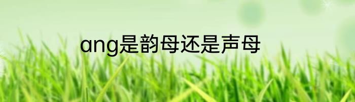 ang是韵母还是声母