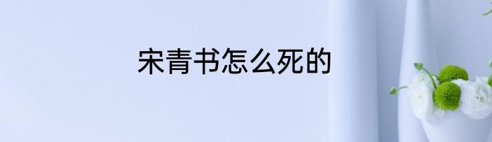 宋青书怎么死的