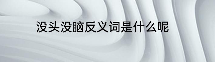 没头没脑反义词是什么呢