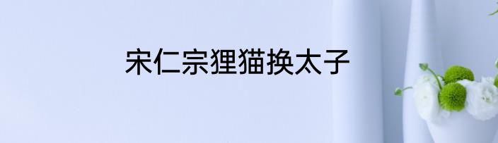 宋仁宗狸猫换太子