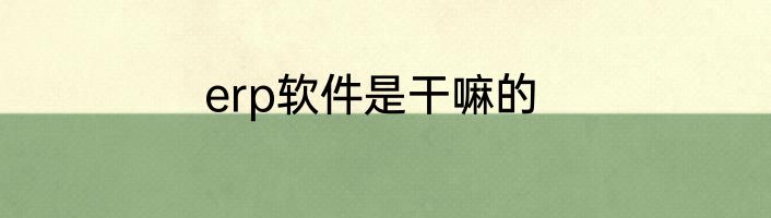 erp软件是干嘛的