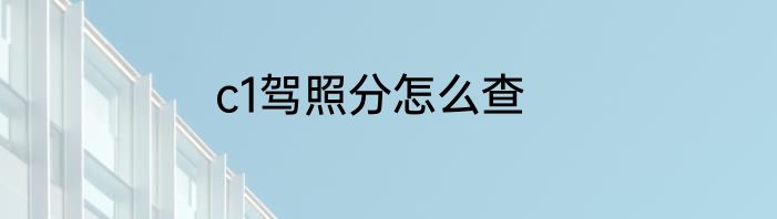 c1驾照分怎么查