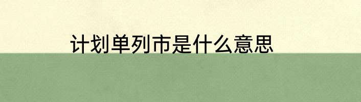 计划单列市是什么意思