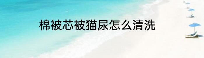 棉被芯被猫尿怎么清洗