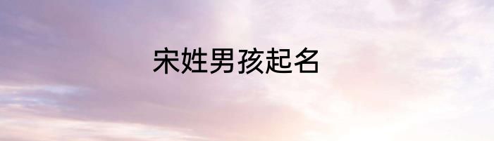 宋姓男孩起名