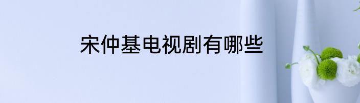 宋仲基电视剧有哪些