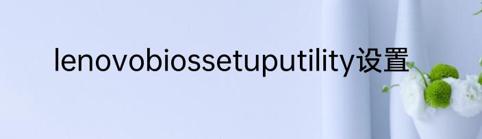 lenovobiossetuputility设置