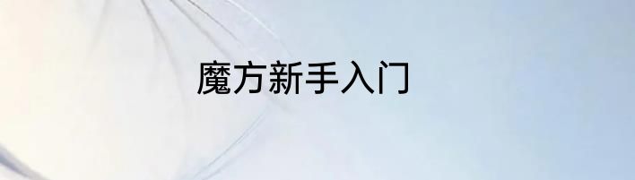 魔方新手入门