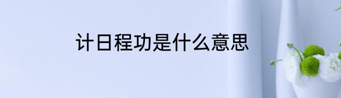 计日程功是什么意思