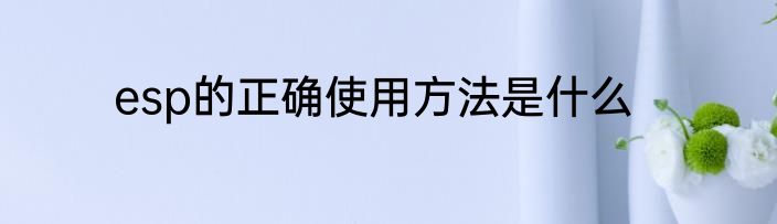esp的正确使用方法是什么