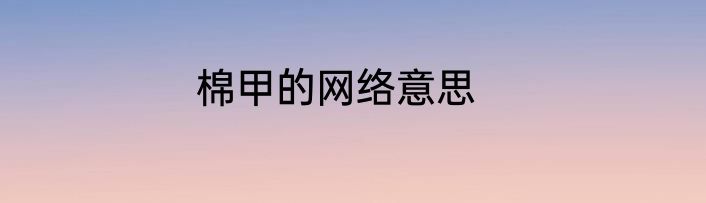 棉甲的网络意思