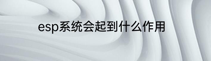 esp系统会起到什么作用