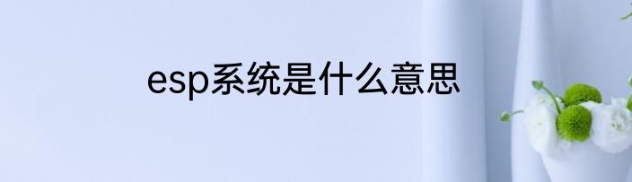 esp系统是什么意思