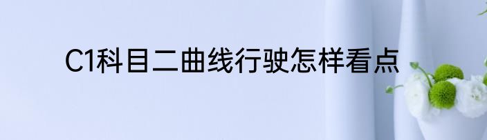 C1科目二曲线行驶怎样看点