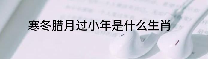 寒冬腊月过小年是什么生肖