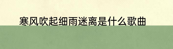 寒风吹起细雨迷离是什么歌曲